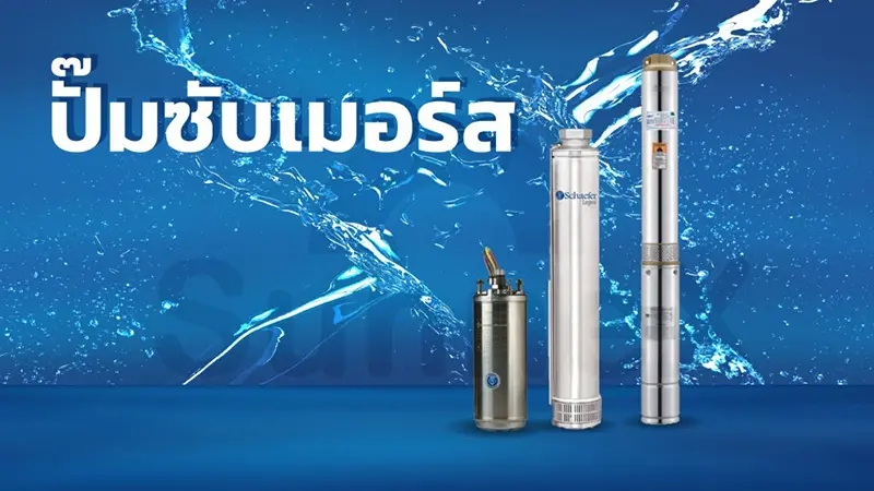 ซัมเมอร์ส