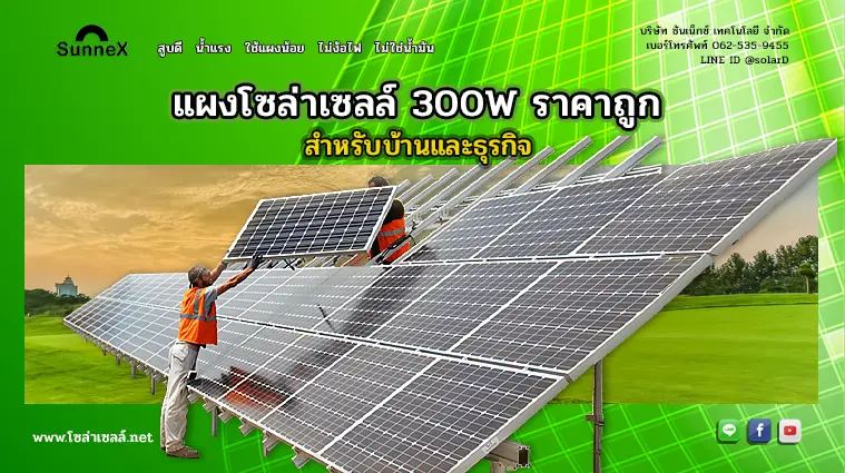 แผงโซล่าเซลล์ 300W ราคาถูก สำหรับบ้านและธุรกิจ