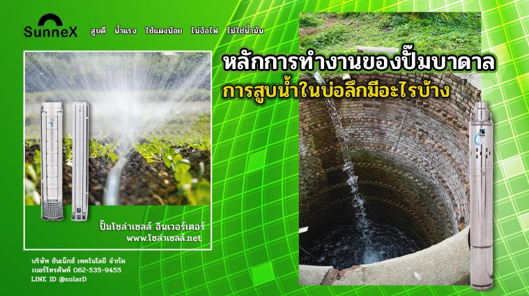 หลักการทำงานของปั๊มบาดาล การสูบน้ำในบ่อลึกมีอะไรบ้าง