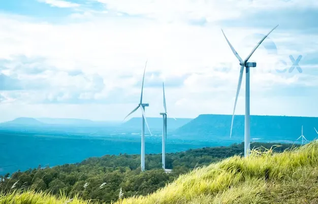 3 Wind Energy