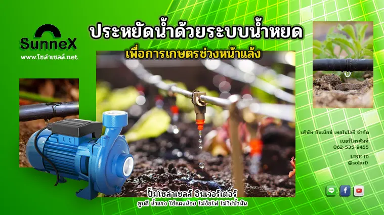 ประหยัดน้ำด้วยระบบน้ำหยดเพื่อการเกษตรช่วงหน้าแล้ง